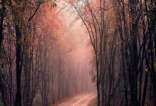 C组最新积分榜：日本提前三轮晋级，国足若击败沙特将升至第三.