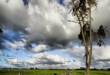 阿森纳7-1狂胜埃因霍温,创欧冠33年历史!6人破门 厄德高2球1助.