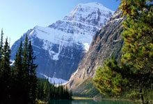 蓝鲸体育：绷不住了巴拿马前锋绝杀美国，冲向解说席与亨利拥抱怒吼庆祝.