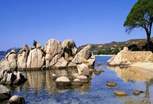 西班牙vs荷兰:奥尔莫、亚马尔首发,范戴克、加克波出战.